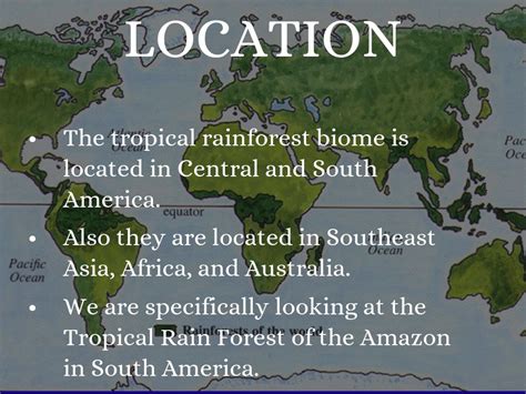 Tropical rainforest biomes are found in locations throughout the world in a band around the equator known as the tropics. The Tropical rainforest by clarapotter69