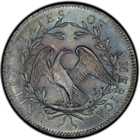 Flowing Hair Silver Dollar