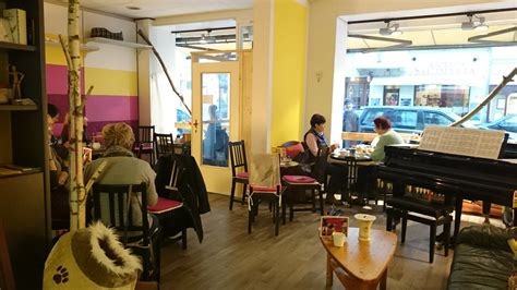 Restaurants espagnols de sortir tard le soir à charlottenburg. Cat Cafe 'Zur Mieze' - Cat cafe in Berlin Charlottenburg ...