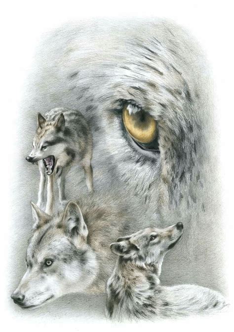 Pin By Janice Houtby On Wolves Wolf Colors Wolf Art Pet Portraits