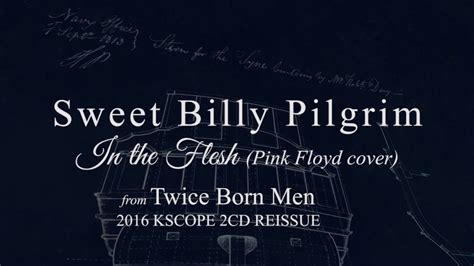 Sweet Billy Pilgrim In The Flesh Pink Floyd Cover From Twice Born