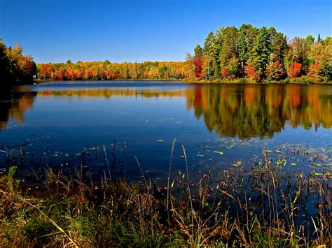 Check Out Long Lake On The Fall Color Report On