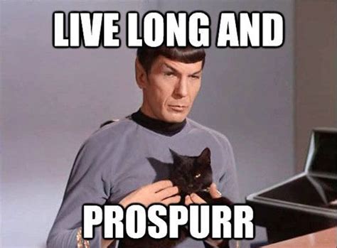 Funny Star Trek Memes 41 Photos