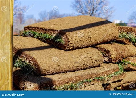 Pallet With Stacked Rolls Of Lawn On The For New Lawn Grass