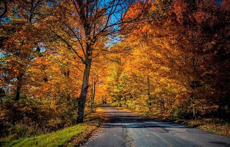 Autumn Road Hd Wallpaper Background Image 2020x1295 Id883605