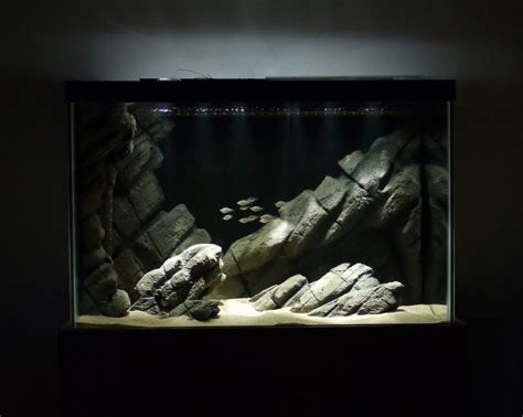 Dramatic aquascapes diy aquarium background 10 things you shouldn t put in your fish tank fishkeeping world how to make a divided tank for betta fish with images diy how to make an aquarium at home do it yourself diy you 40 ideas for homemade fish tank decoration wow 10 cool aquarium decoration ideas how to copy them 2020. Pin by Kyle Eddy on Ideas for cichlid tank | Diy aquarium ...