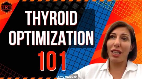 Thyroid Optimization Everything You Need To Know YouTube
