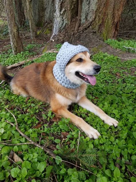 How To Make Dog Ear Warmers