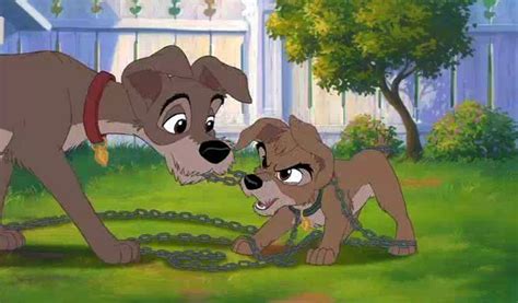 Tramp And Scamp ~ Lady And The Tramp Ii Scamps Adventure 2001 Disney