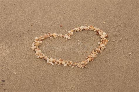The Shape Of Heart Made From Small Shells On The Sand Beach Selective