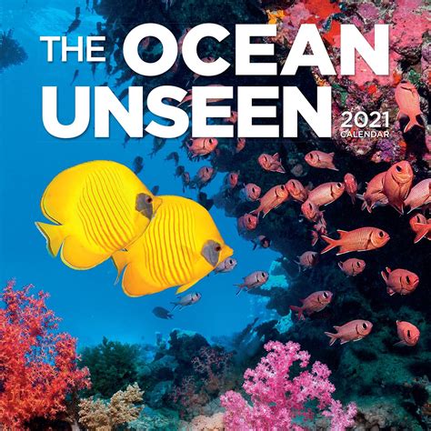 The Ocean Unseen Wall Calendar 2021 9781523510559 Workman
