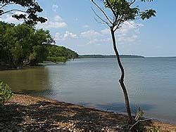 With more shoreline than the east and gulf coasts combined, oklahoma is fishing paradise. Lake Oologah Fishing Guides Cabins Marinas RV Parks ...