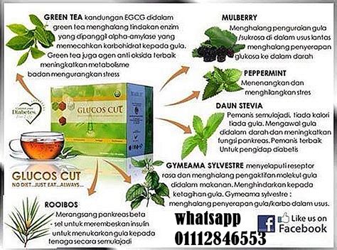 Teh herba untuk kuruskan badan. tips kuruskan badan dengan teh - Nak Kuruskan Badan Dan ...