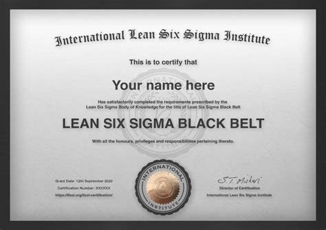 Instructor Led 8 Day Black Belt Training International Accredited