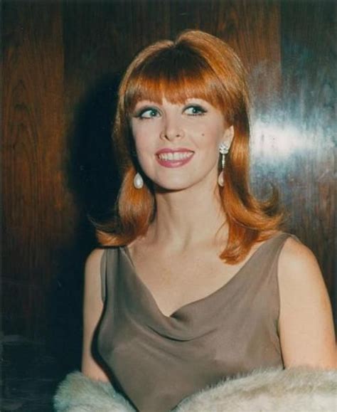 The Swinging Sixties — Tina Louise Tina Louise Celebrities Ginger Grant