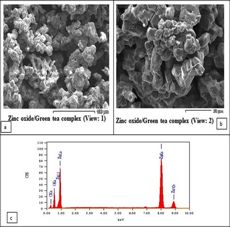 Scanning Electron Microscopy Sem Analysis Showing The Morphology Of Download Scientific