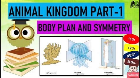 ANIMAL KINGDOM PART 1 | BODY PLAN AND SYMMETRY | IN HINDI | by Vidhu