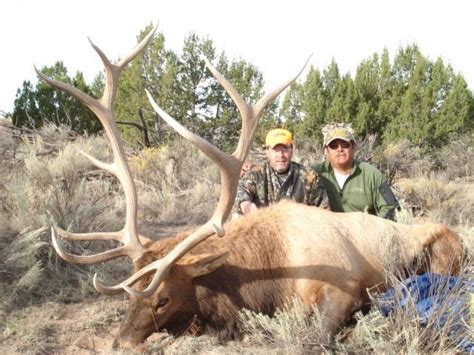 Navajo Nation General Deer Or Elk Tag