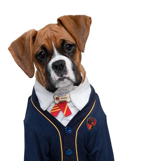 Spark | Pup Academy Wiki | Fandom