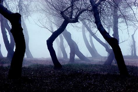 Spooky Trees Classwork By Rocktumblersgirl On Deviantart