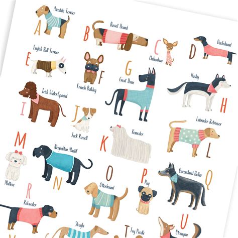 Printable Dogs Alphabet For A Dog Lover Dog Alphabet Poster Abc Dogs