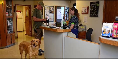 Drop Off Vet Appointments for Dogs and Cats in Seattle