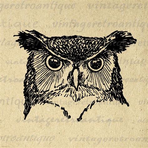 11x14 Owl Graphic Printable Digital Owl Head Image Download Vintage