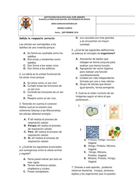 5 instructivo para las pruebas formativas mensuales la puntuacin en lectura y escritura las pruebas de espaol constan de dos secciones 3 13 a 3 14 b 3 17 instructivo para las pruebas formativas mensuales julio n de tem respuesta correcta n de puntos 1 b 3 2 a 3 3 b 3 4 b 3 5 c 3. Calaméo - Prueba De Ciencias Naturales Periodo 3