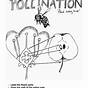 Pollination Worksheet Grade 5