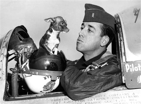 Military mascots can be such animals