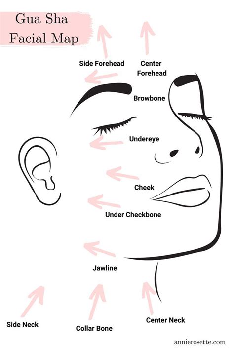 Gua Sha Facial Map Gua Sha Facial Facial Tips Jade Face Roller Face