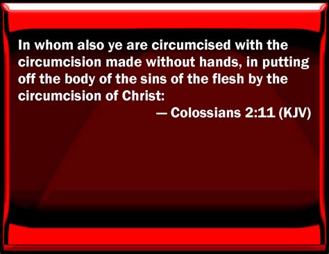 Colossians 211 In Whom Also You Are Circumcised With The Circumcision