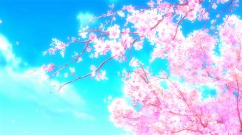 Cherry Anime Blossom Wallpapers Wallpaper Cave