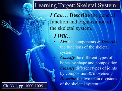 What Are The Main Functions Of The Skeletal System Slide