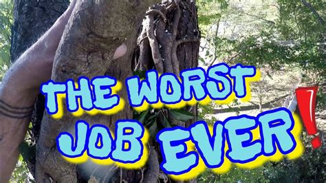 the worst job ever i messed up teaser youtube