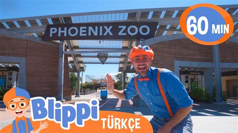 Blippi Bir Hayvanat Bahçesini Ziyaret Ediyor Blippi Türkçe Çocuklar