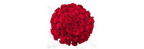 Costco 50 Stem Valentines Day Roses 65