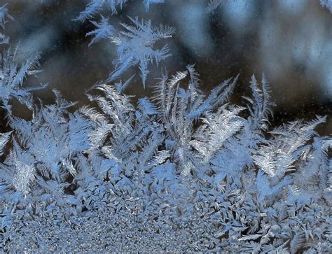 Ice Crystals Ice Crystals Form And Flourish Brian Adams Flickr