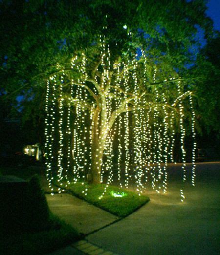 Create A Willow Effect By Hanging Mini Lights From Tree Branches