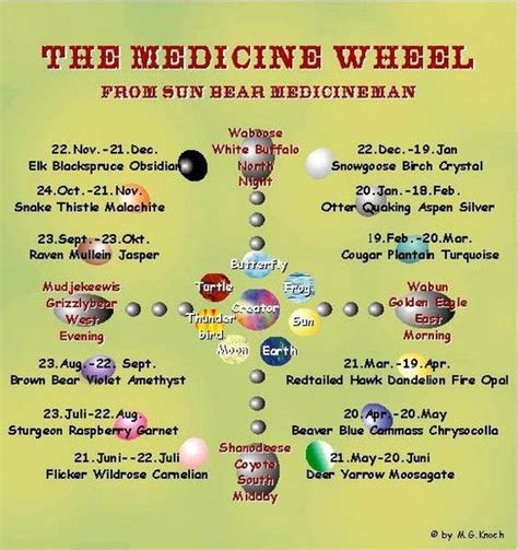 Sun Bears Medicine Wheel Native American Medicine Wheel Medicine