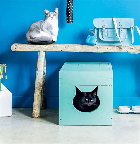 See more ideas about kitchen quotes, witty quotes, kitchen wall quotes. Cat Couture: 12 DIY Designs for your Favorite Feline ...