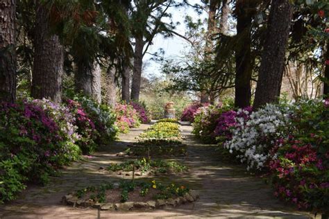 Check spelling or type a new query. Jasmine Hill Garden and Outdoor | Wetumpka | Elmore ...