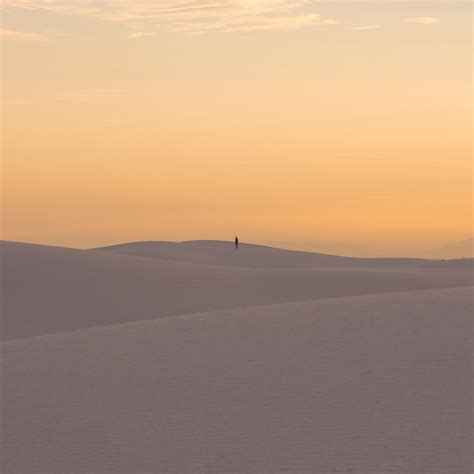 Download Wallpaper 2780x2780 Desert Dunes Sand Silhouette