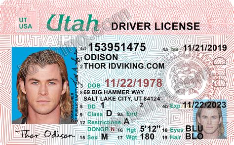 Temporary Drivers License Template