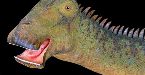 Dinosaur Found With Vacuum Cleaner Mouth