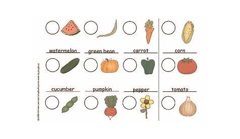 Plants- Make a Seed Identification Chart by Andrea Perfetti | TpT