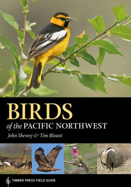 Birds Of The Pacific Northwest By John Shewey Tim Blount Paperback