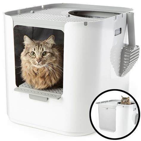 If so then a monthly cat subscription box is the perfect option! Modkat XL Litter Box, Top or Front-Entry Configurable ...