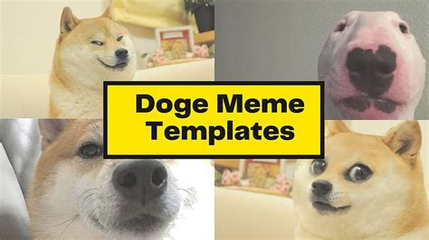 Top 20 Szablonów Memów Doge Wszechczasów Doggo Meme Tapeta Hd Pxfuel