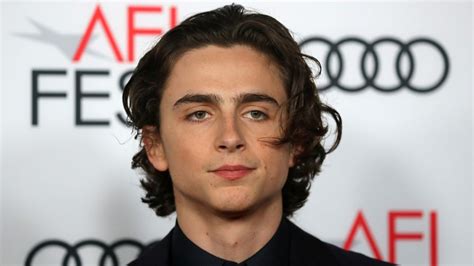 Timothée hal chalamet was born in manhattan, to nicole flender, a real estate broker and dancer, and marc chalamet, a unicef editor. Airline passenger sits next to Timothee Chalamet, proceeds to detail experience with 'super nice ...